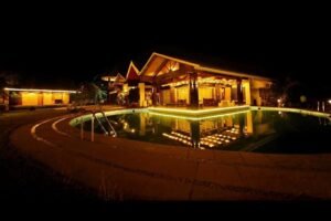 Night Look Night Look